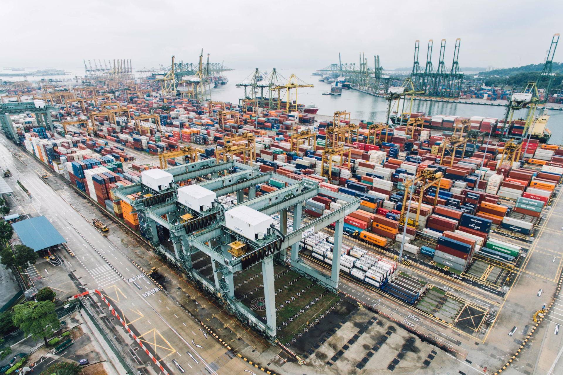 Global logistics and distribution network